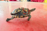 feria